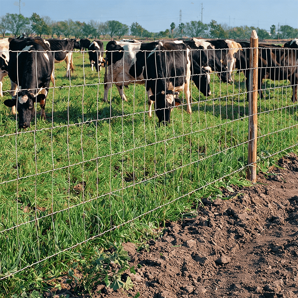 Woven wire farm fencing